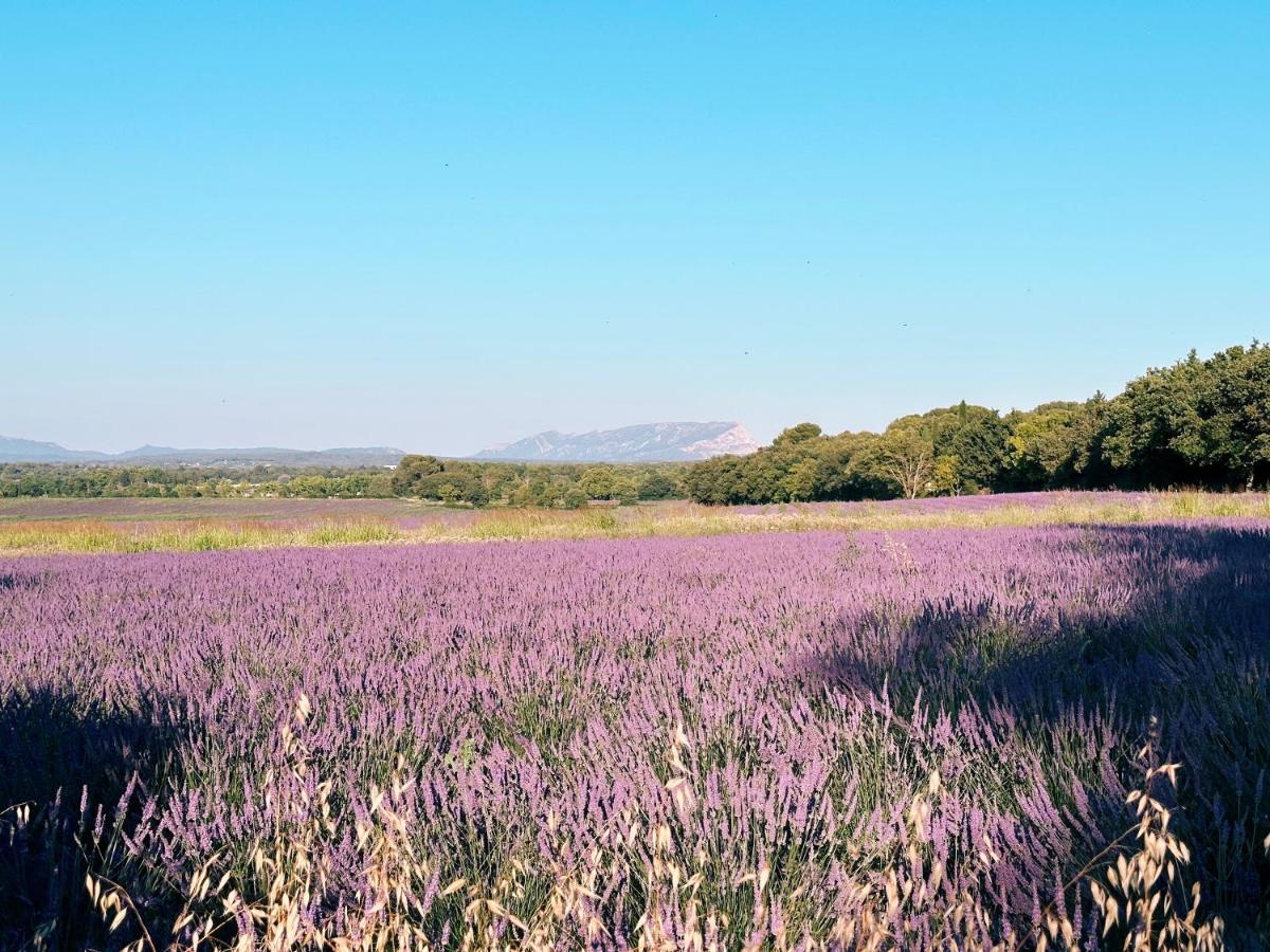 Maison Francoise Bed and Breakfast Aix-en-Provence Eksteriør billede