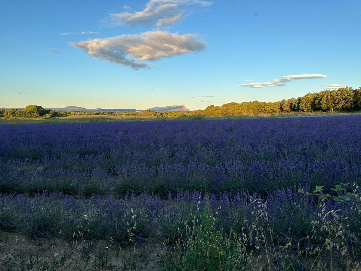 Maison Francoise Bed and Breakfast Aix-en-Provence Eksteriør billede
